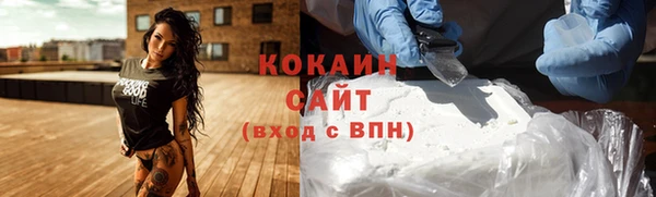 гашик Алексин