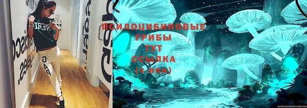 винт Алзамай