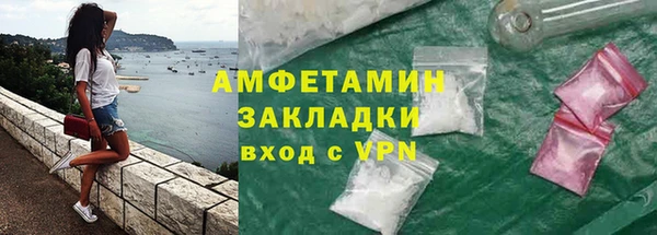 гашик Алексин