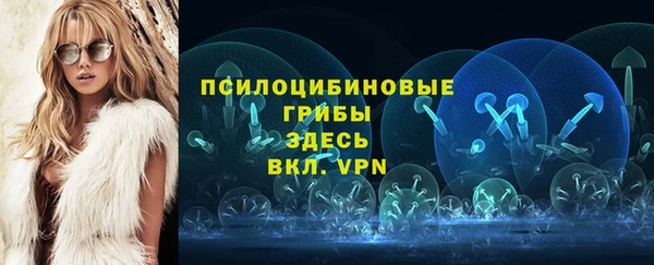 бошки Абаза