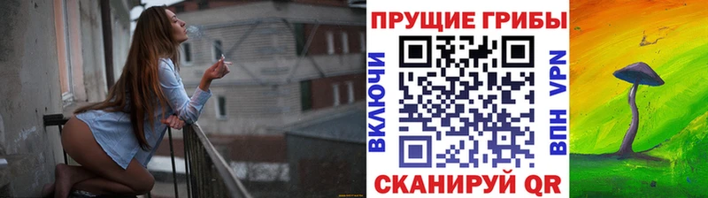 Галлюциногенные грибы мицелий  блэк спрут как войти  Астрахань 